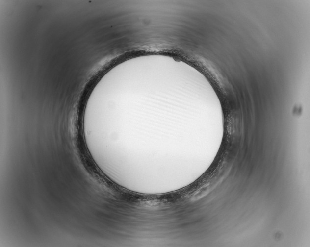 X0000101990540200808151426