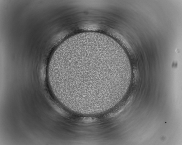 X0000101990541200808151426