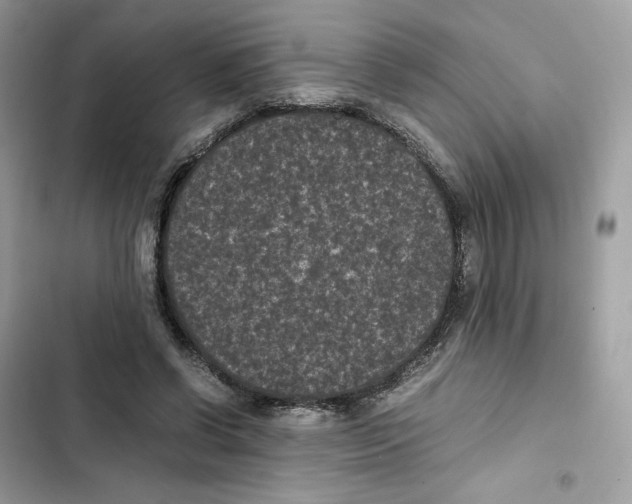 X0000101990542200808151426