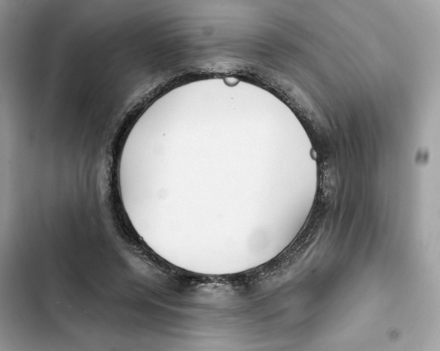 X0000101990544200808151426