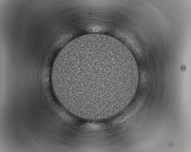 X0000101990545200808151426