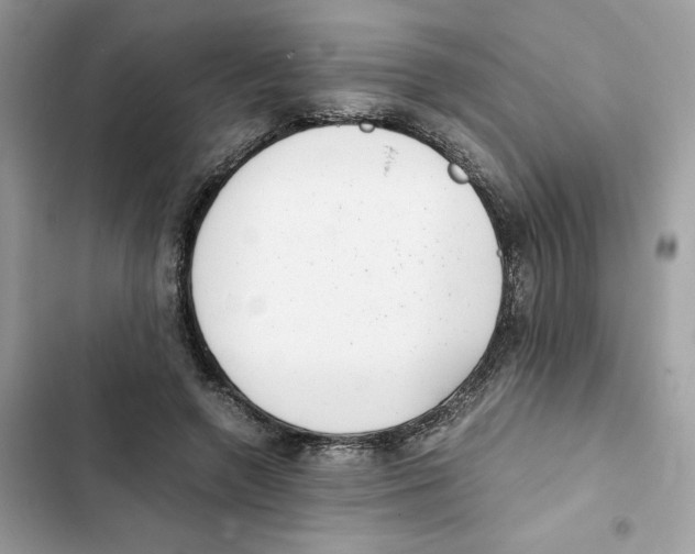 X0000101990546200808151426