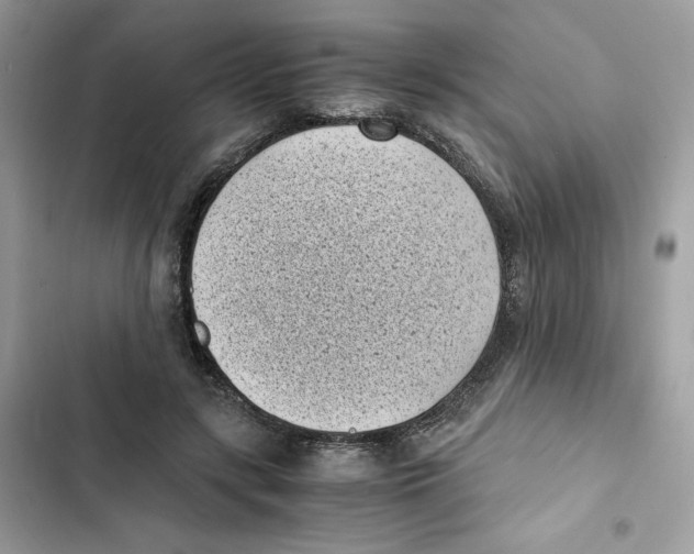 X0000101990547200808151426