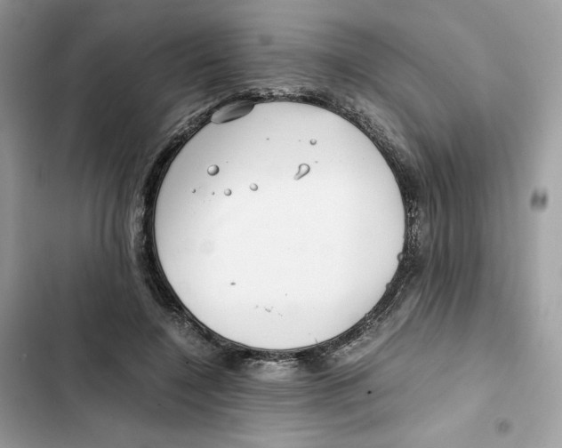 X0000101990548200808151426