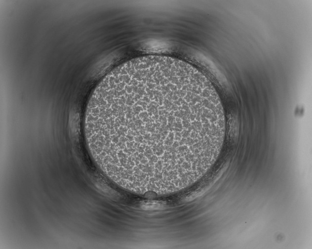 X0000101990549200808151426