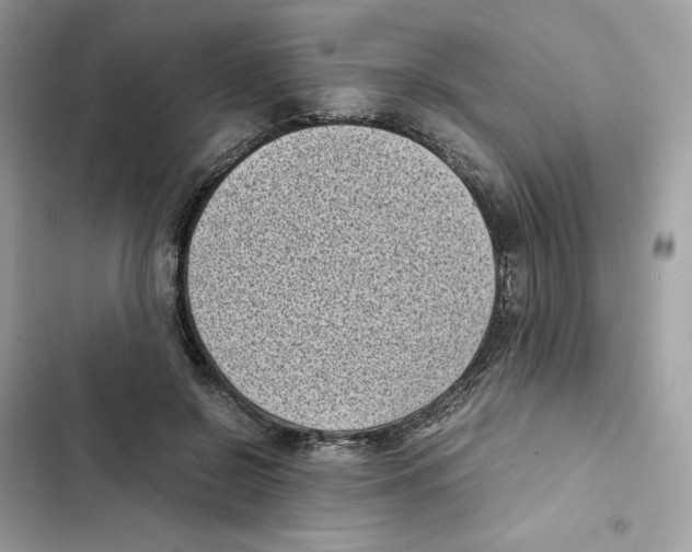 X0000101990550200808151426