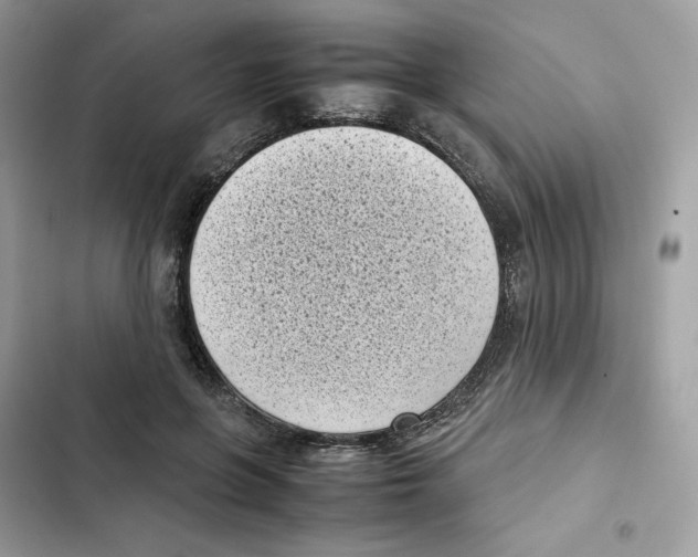 X0000101990551200808151426