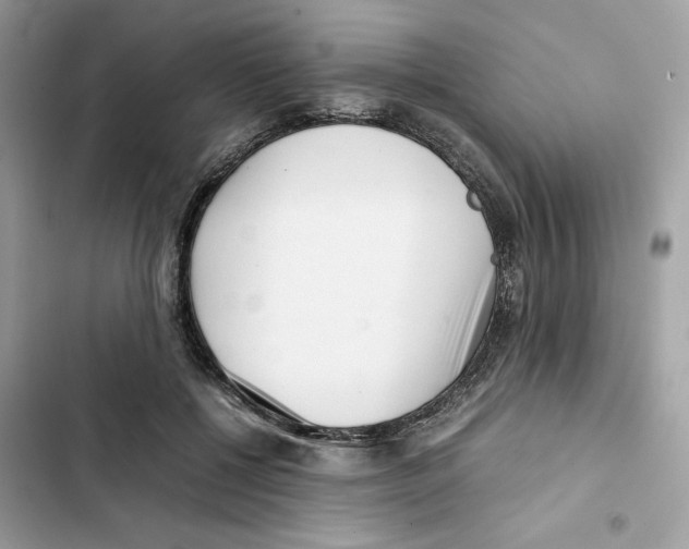X0000101990552200808151426