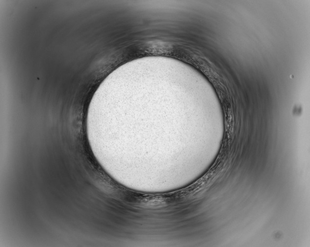X0000101990553200808151426