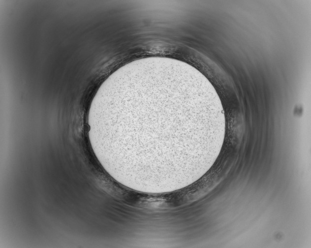 X0000101990554200808151426