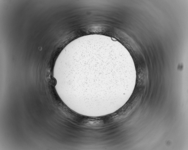 X0000101990555200808151426