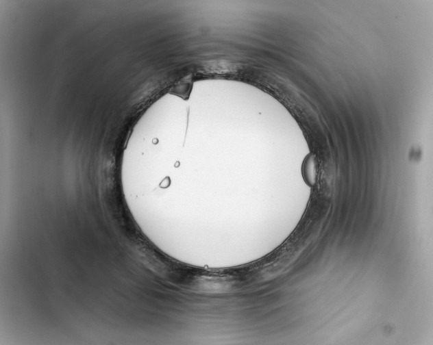 X0000101990556200808151426