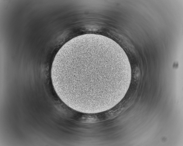 X0000101990559200808151426