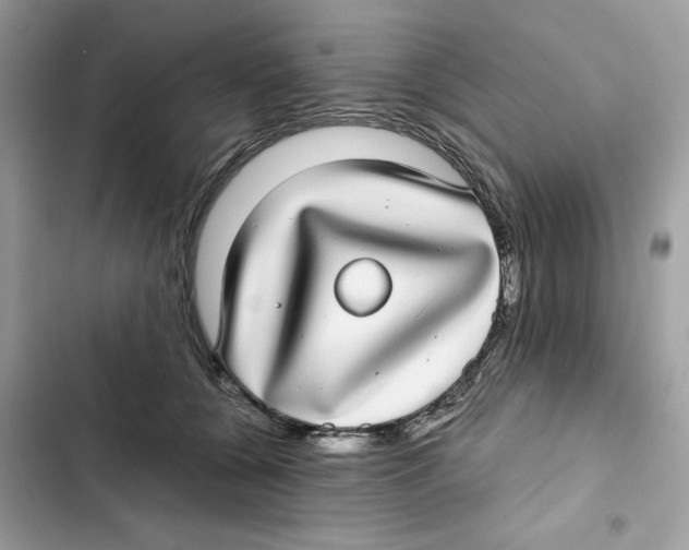 X0000101990560200808151426