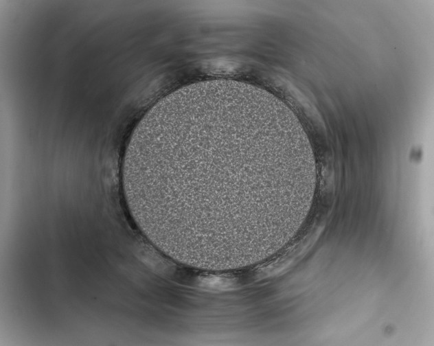 X0000101990561200808151426