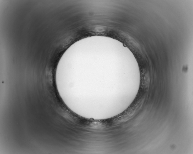 X0000101990562200808151426