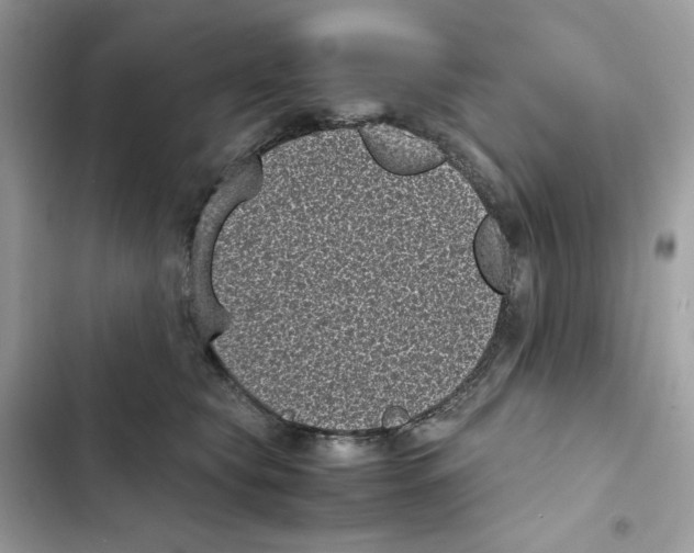 X0000101990565200808151426
