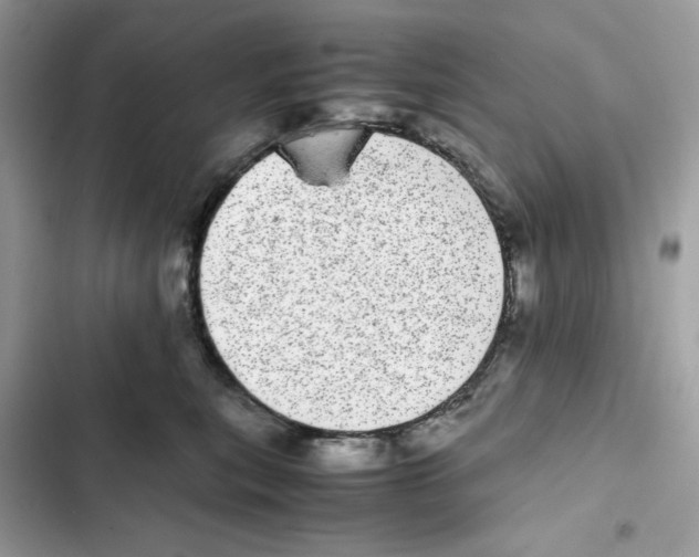 X0000101990567200808151426