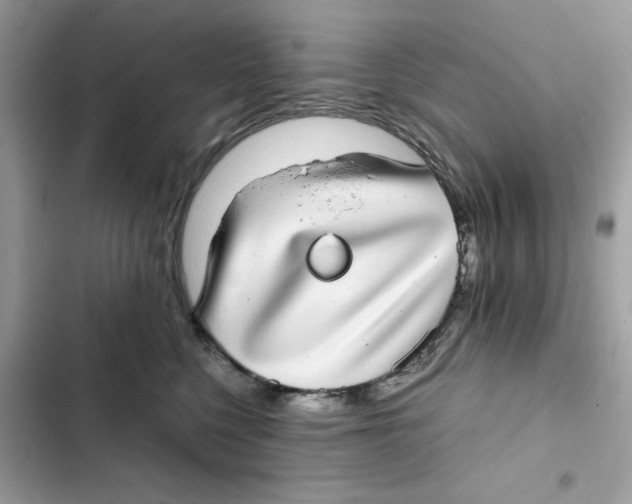 X0000101990568200808151426
