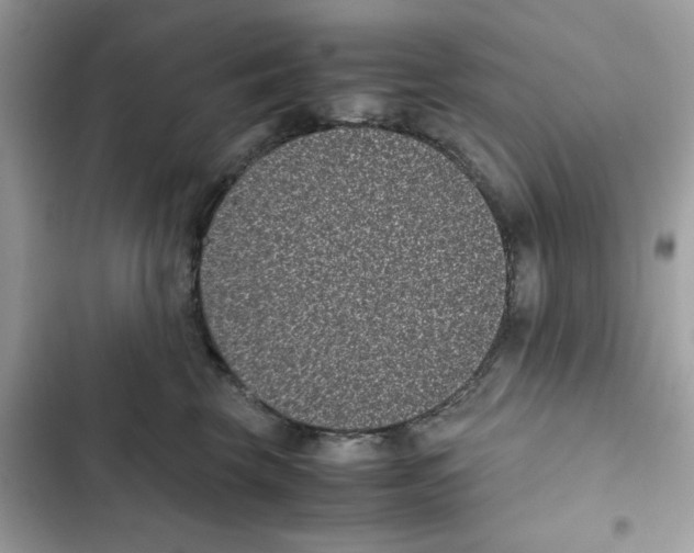 X0000101990569200808151426