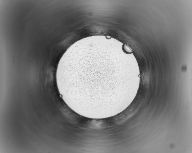X0000101990570200808151426