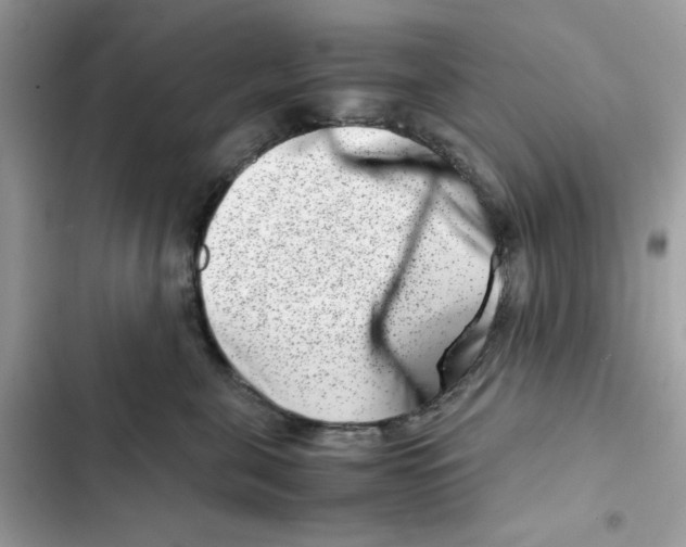 X0000101990571200808151427