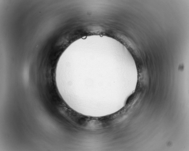 X0000101990572200808151427