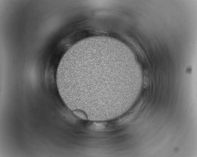 X0000101990573200808151427