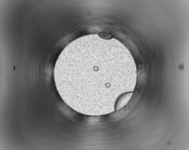 X0000101990574200808151427