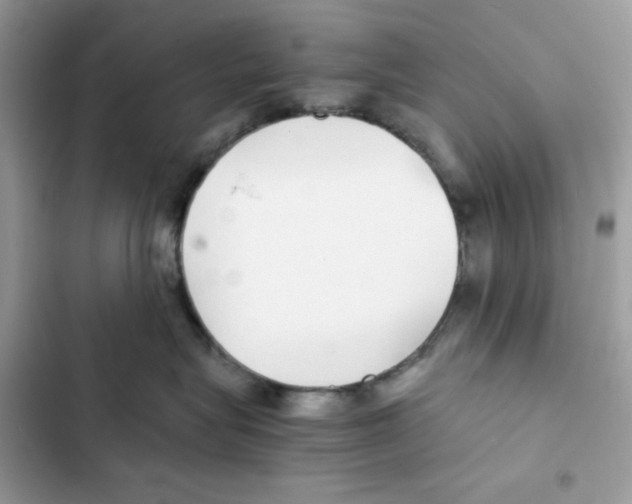 X0000101990575200808151427