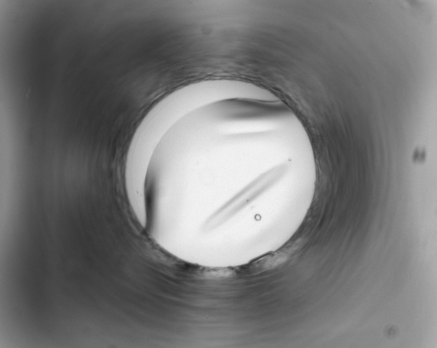 X0000101990576200808151427