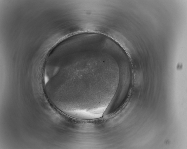 X0000101990577200808151426