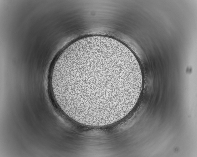 X0000101990578200808151426
