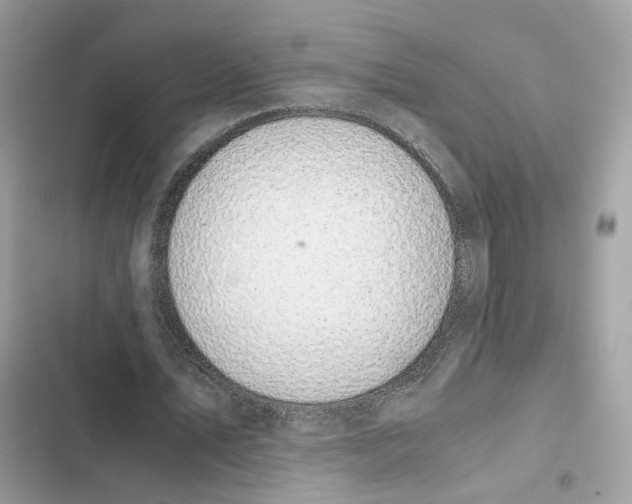 X0000101990579200808151426