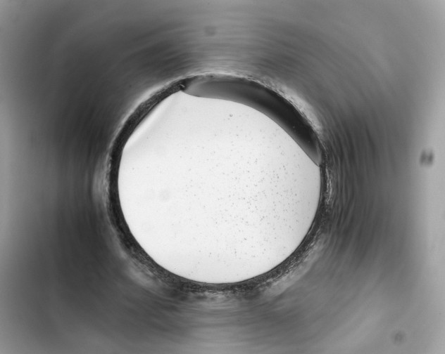 X0000101990580200808151426