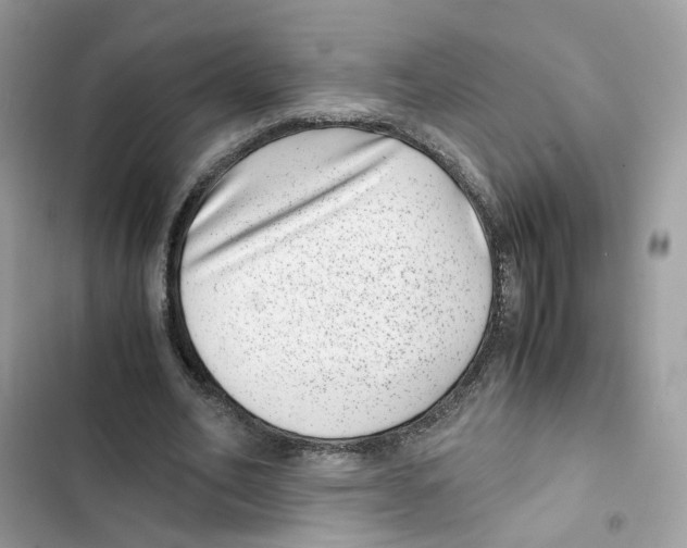 X0000101990582200808151426