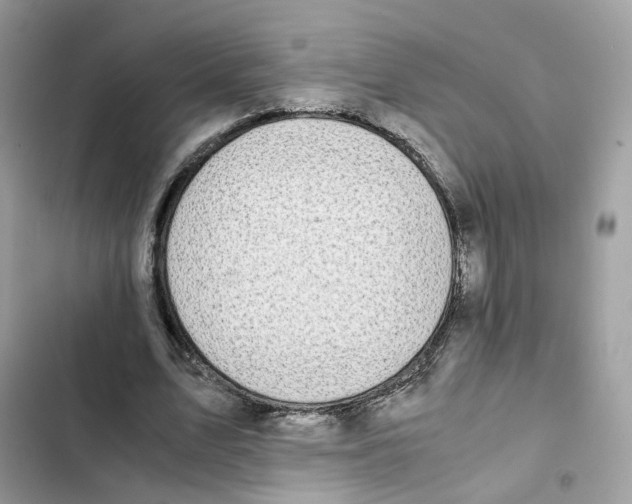 X0000101990583200808151426