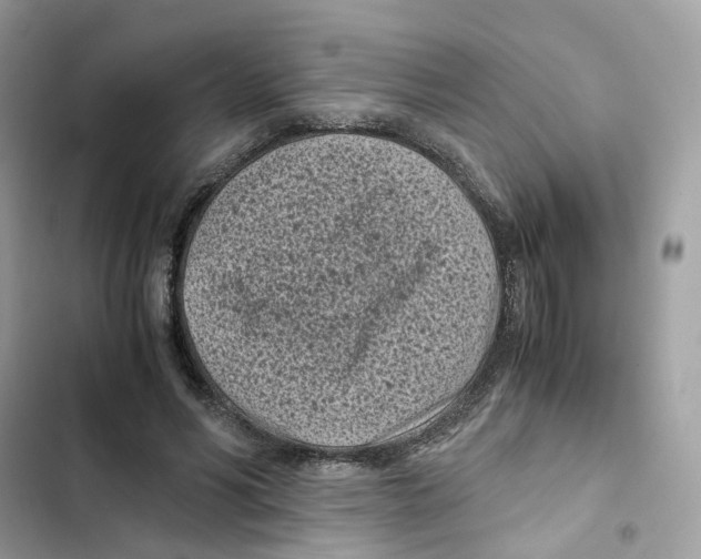 X0000101990590200808151426