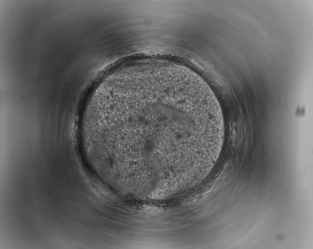 X0000101990592200808151426