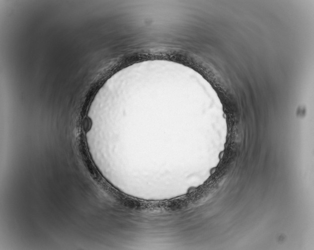 X0000101990593200808151426
