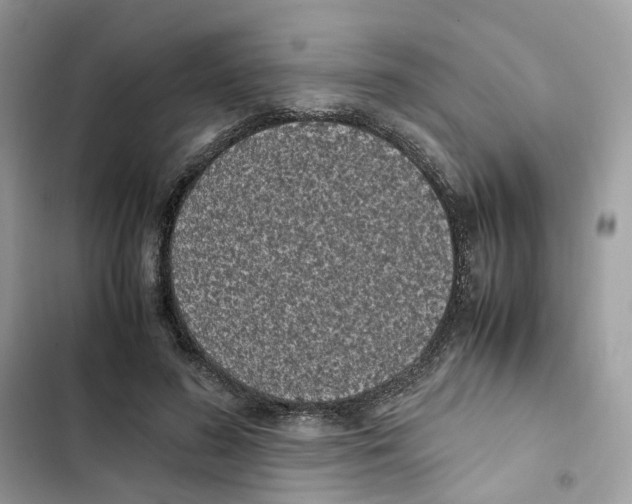 X0000101990596200808151426