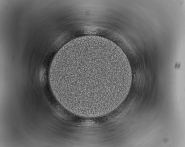 X0000101990598200808151426