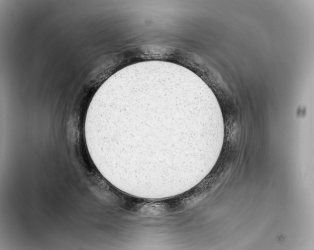 X0000101990599200808151425