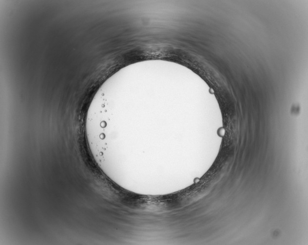 X0000101990601200808151425