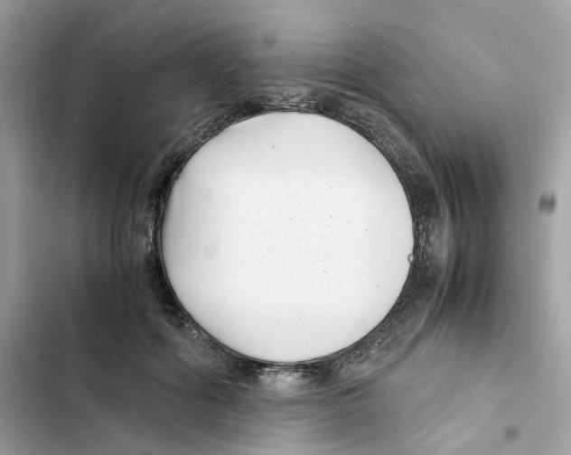 X0000101990602200808151425