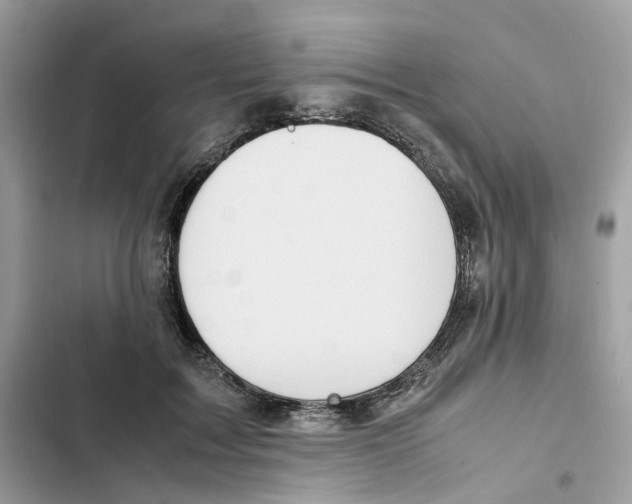 X0000101990603200808151425