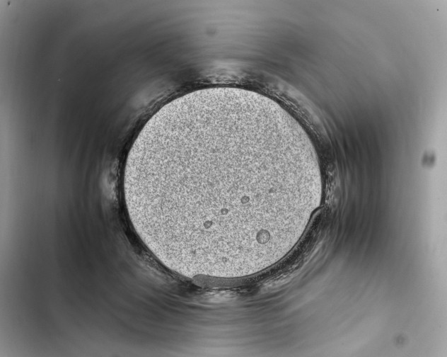 X0000101990604200808151425