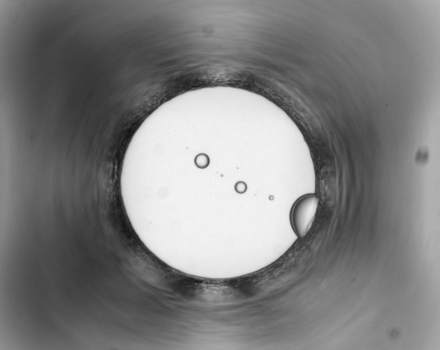 X0000101990605200808151425