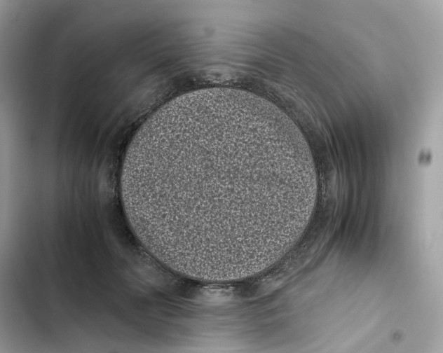 X0000101990606200808151425