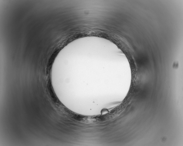 X0000101990607200808151425